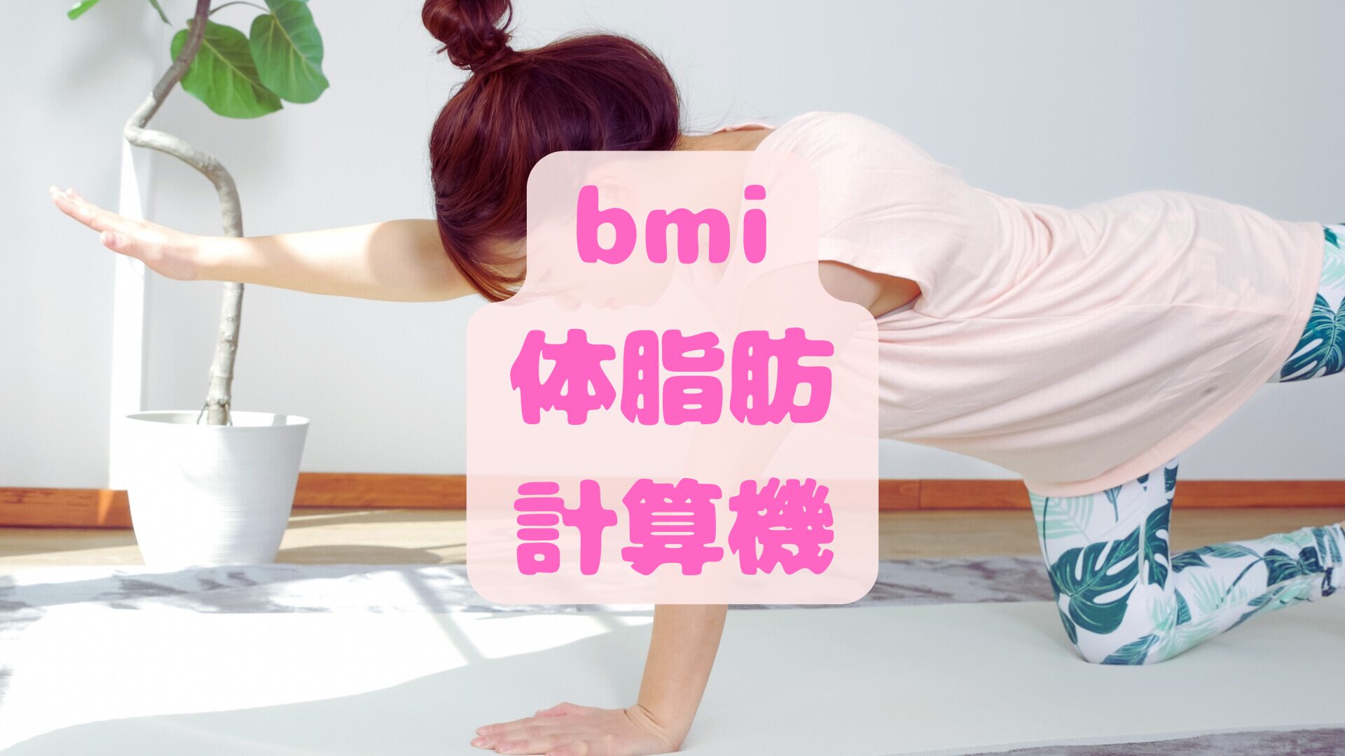 【bmi・体脂肪量自動計算機】bmi基準の標準体重や美容体型の算出方法は？
